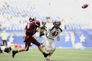 JIUYOU GAMING-皮特·斯图斯：南非羚羊队的防守核心，一直稳定发挥